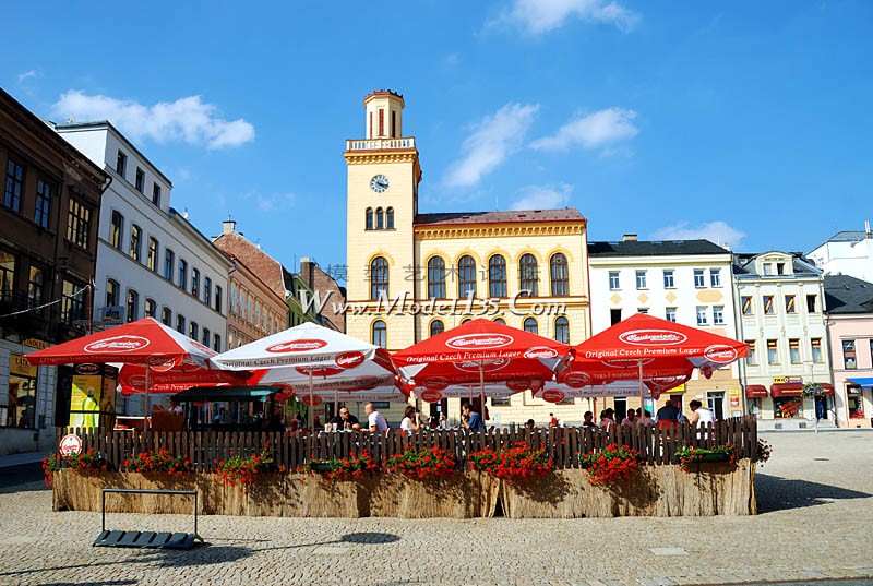 2008外观世界锦标赛 (2).jpg