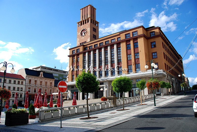 2008外观世界锦标赛 (1).jpg