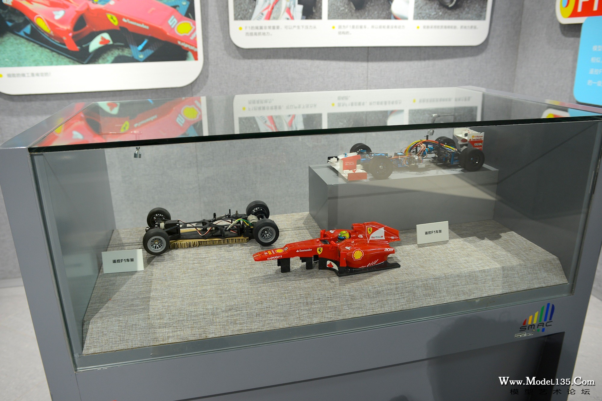 f1的遥控车竟然不市田宫的f103