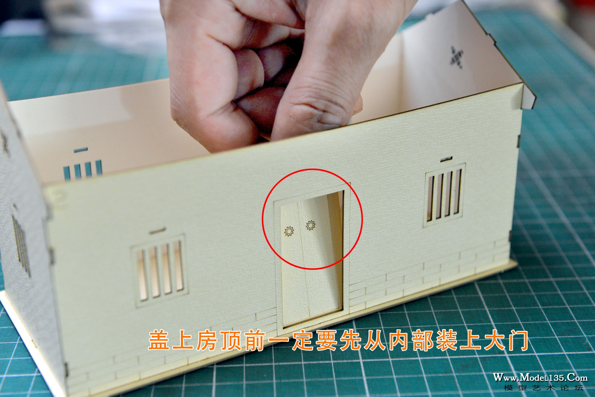 mngc-3069.jpg