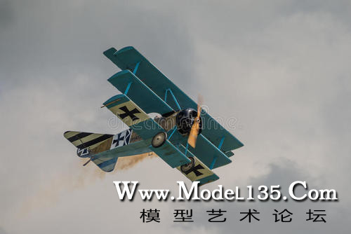 富克三翼机的其他涂装