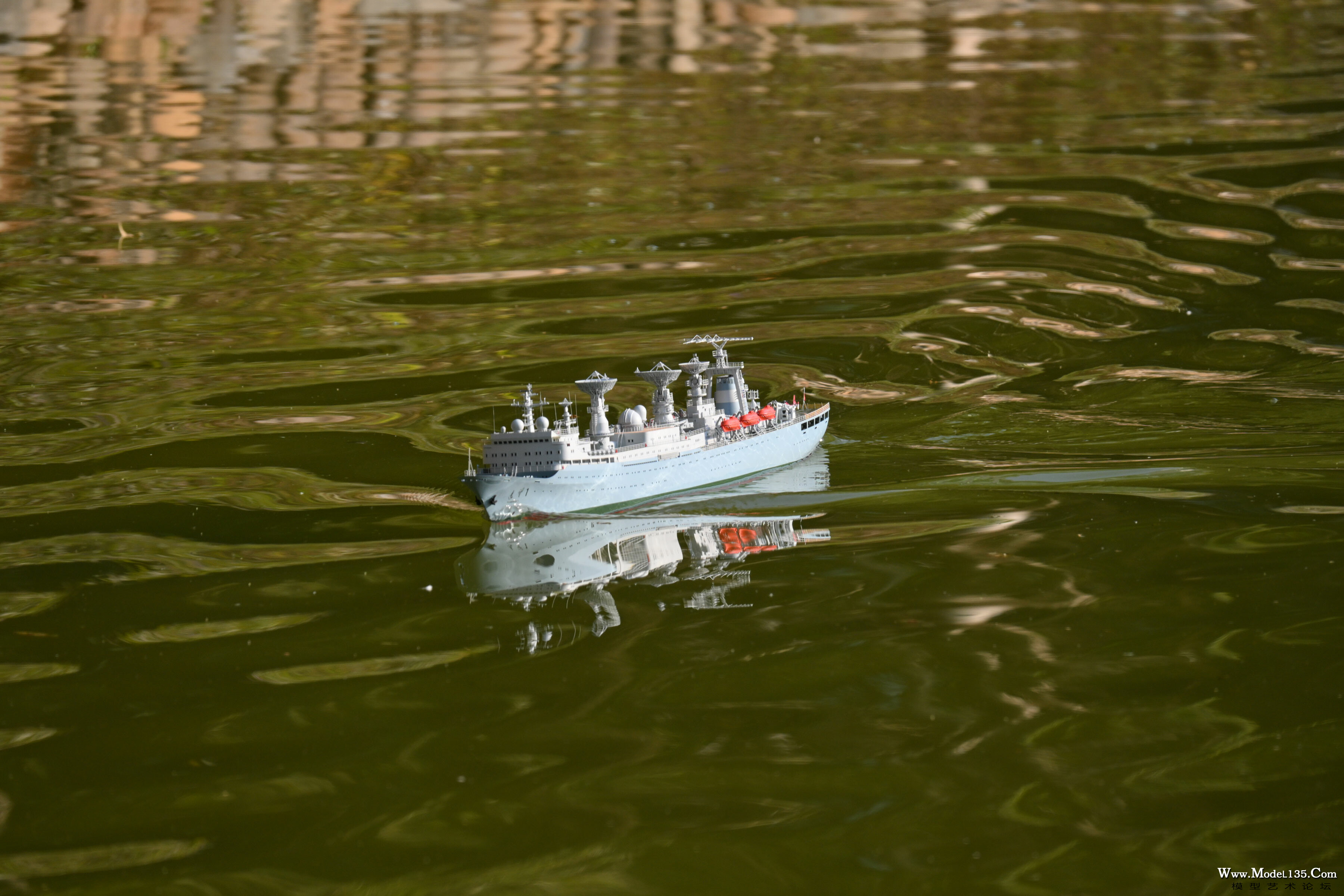 DSC_5530.jpg