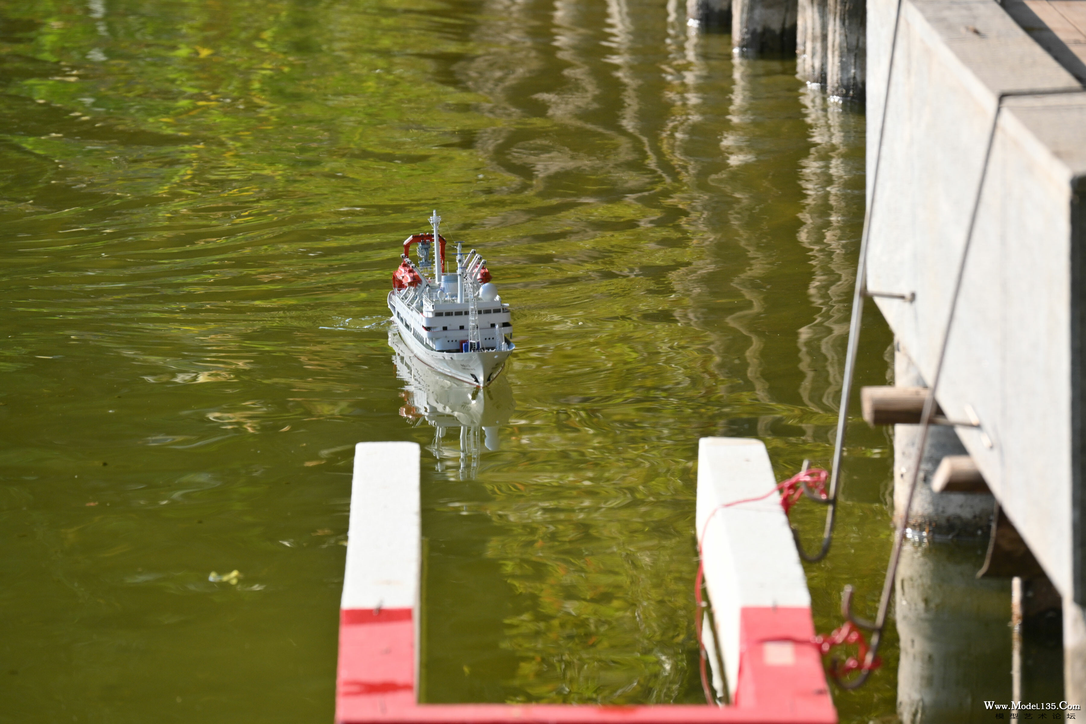 DSC_5571.jpg